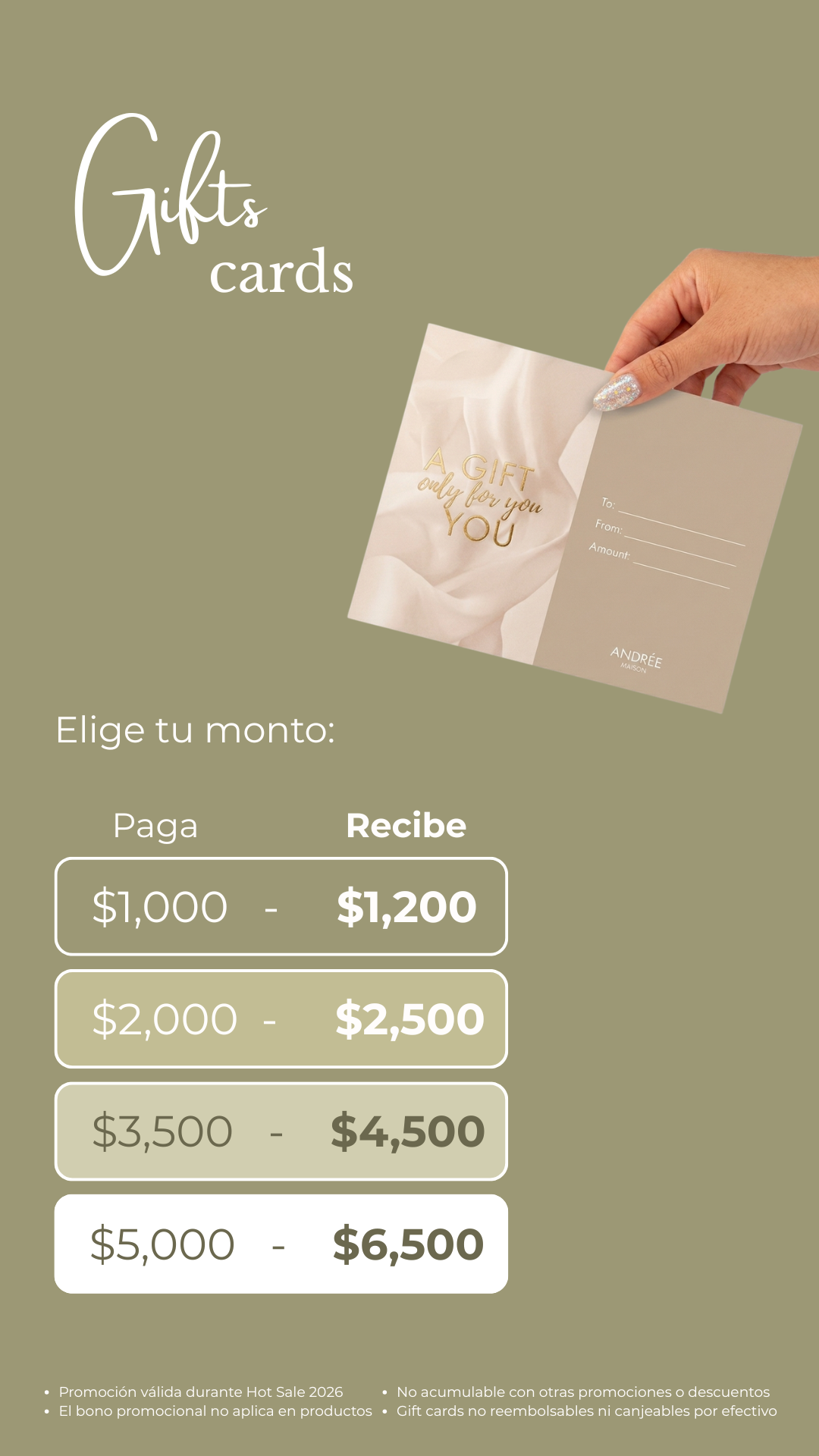 HOTSALE (1080 x 1920 px) Whatsapp (8)